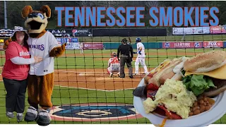 Take Me Out to a Smokies Ball Game All You Can Eat Seats Behind Home Plate Kodak Tennessee 2022