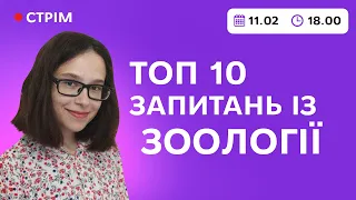 ЗООЛОГІЯ: ТОП 10 запитань | ЗНО з біології 2022