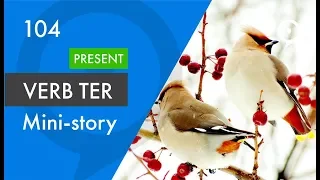 Learn European Portuguese (Portugal) - Mini-story with the verb ter in the present