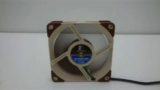 noctua nf a12x25 pwm