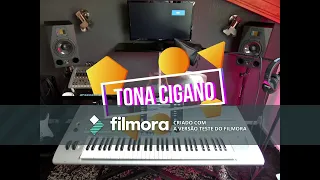 música cigana 2019 DJ tona