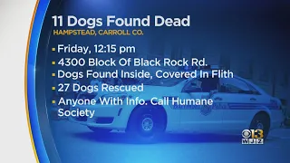 11 Dogs Found Dead Inside Carroll County Home, Officials Investigating