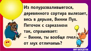 Анекдоты про Винни Пуха и Пяточка