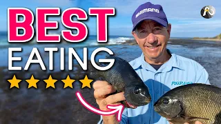 Rock Fishing for DRUMMER: Foundational Strategies! BEST EATING FISH!