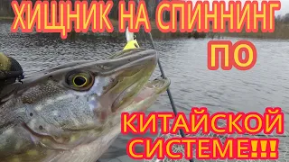 ХИЩНИК НА СПИННИНГ ПО КИТАЙСКОЙ СИСТЕМЕ!!!