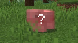 Unknown Minecraft Things that you Can't Unsee...