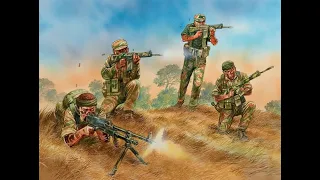 This is Africa: The story of the Rhodesian Light Infantry