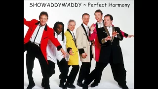 Showaddywaddy - Perfect Harmony