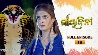 Mayabini | Full Ep 16 | 3nd Nov 2022 | Odia Serial – Tarang TV