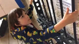 Percy ringing shandon bells