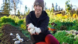 Homegrown Garlic is the Best | Canning Cream of Celery Soup