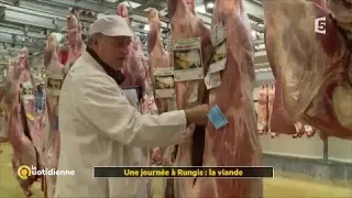Une journée à Rungis : la viande