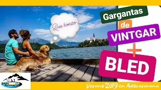 😱Nos MULTAN😱 Viaje a ESLOVENIA en AUTOCARAVANA ➡️ # 5 : GARGANTAS de VINTGAR Y BLED.