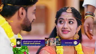 Padamati Sandhyaragam | Ep 374 | Nov 28, 2023 | Best Scene 1 | Jaya sri, Sai kiran | Zee Telugu