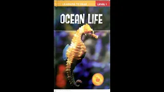 Read Aloud- Ocean Life | Nonfiction