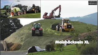 Maishäckseln XL - Claas Jaguar 960 und 860 - JCB Fasttrac - LU Bücherl