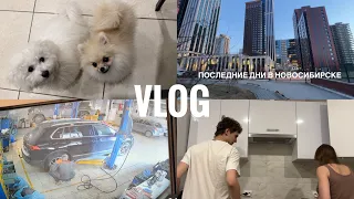 18; НОВОСИБИРСК // Пирсинг носа | Встречи с друзьями | Наши венки / VLOG