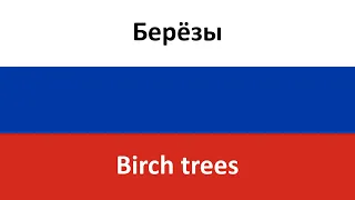 Берёзы -- Birch trees (Lyube) in ENGLISH AND RUSSIAN