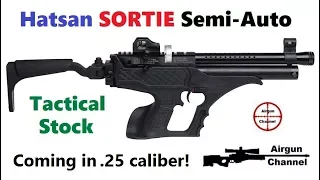 Hatsan SORTIE w/ Tactical Stock +Ataman AP16 & Umarex MP BB Machine Gun