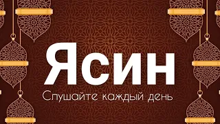 СУРА ЯСИН СЛУШАЙТЕ КАЖДЫЙ ДЕНЬЧтец суры Корана Исмаил каары,