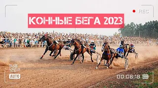 Кубок Чувашии по конному спорту 2023!)))