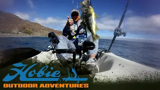 Fishing in Cedros, Mexico: Part 2 | S06E06 | Hobie Outdoor Adventures