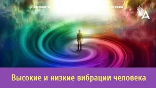 Высокие и низкие вибрации человека – Михаил Агеев