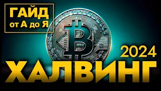 Куда биткойн отправится после халвинга 2024?