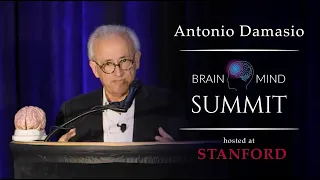 Antonio Damasio - Feeling and Consciousness