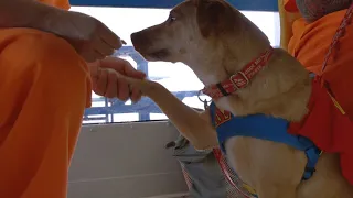 STAR Dog Training Program Changes Culture In Oklahoma Prison