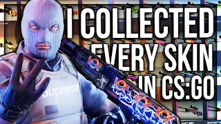 I COLLECTED EVERY SKIN IN CS:GO ($100.000+)