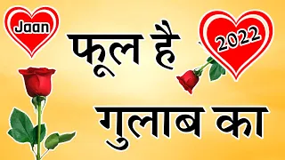 गुलाब शायरी 2022 🌹 best Gulab shayari in Hindi 2022 🌹 गुलाब शायरी 2022 की 🌹 हिंदी गुलाब शायरी 2022