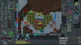 TIBIA BURIED CATHEDRAL HUNT