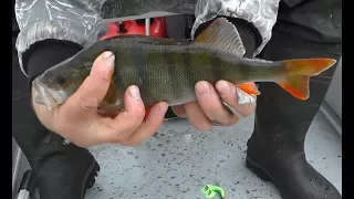 Рыбалка на щуку и как сохранить рыбу в жару