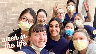 🕺✨glorified CLINICAL WEEK IN THE LIFE of university of michigan nursing students 💸👄 *productive*