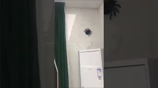 Scary Remote-Control Spider that Climbs Wall