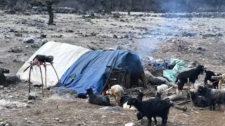 This is Himalayan Life | Himalayan Sheep Shepherd Life in Winter |Ep-270 | Shepherd  food Cooking