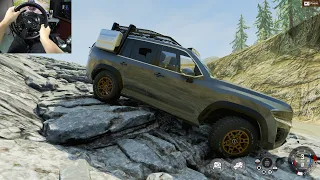Procyon Offroad And Suspension Test BeamNG.Drive - Thrustmaster T300