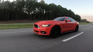 Mustang Week 2019