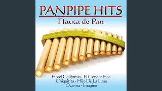 Chiquitita (Flauta de Pan Version)