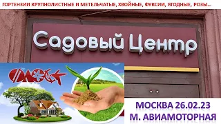 📢Обзор садового ЦЕНТРА ФЛОС МОСКВА/Большой выбор растений🌱🌲🥀🌿/химия/инструмент/разное