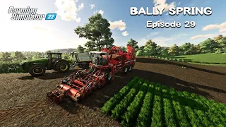 Harvesting CARROT & CANOLA, Building NEW SHED, Spreading Lime | Bally Spring | FS22 | Episode #29