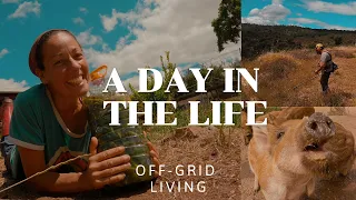 A Day In The Life Of Freedom And Reward - A Peek Into Our Off grid Adventure