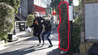 植物が突然動き出すドッキリ / BUSHMAN Prank in Japan Part.5