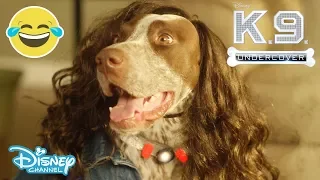 K.C Undercover | Theme Song Music Video  -  K.9 Undercover 🐶| Disney Channel UK