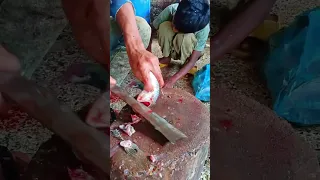 Fish Cutting Skills #shorts #fishcutting_skills