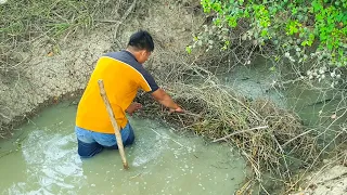Beaver Dam Removal - Unclogged The Canal Drain