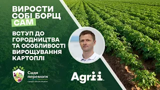 Вступ до городництва та особливості вирощування картоплі | Вирости борщ собі сам