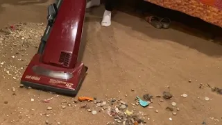 ASMR Vacuum 🤤 ALL MY VACS😻🙀 #Oddlysatisfying