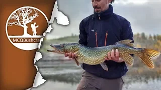 Catching & Cooking Northern Pike over a Campfire